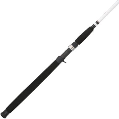 Berkley Big Game Casting Fishing Rod